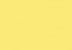 Sunflower Yellow Velur